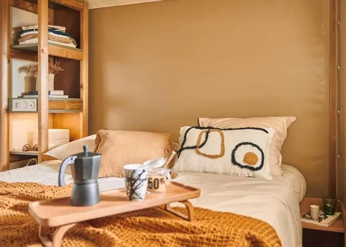 Zecamping 3 Dog Friendly Salle Fitness Piscine 3* Vensac