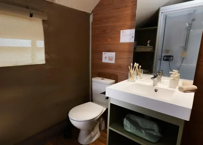 Zecamping 3 Dog Friendly Salle Fitness Piscine 3* Vensac
